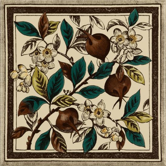 Apple Blossom on Colonial White