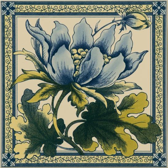 Peony on Colonial White
