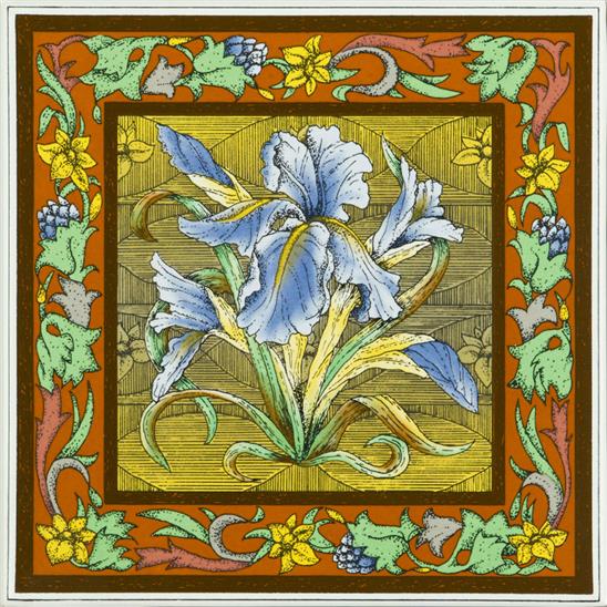Blue Iris Single Tile on Brilliant White