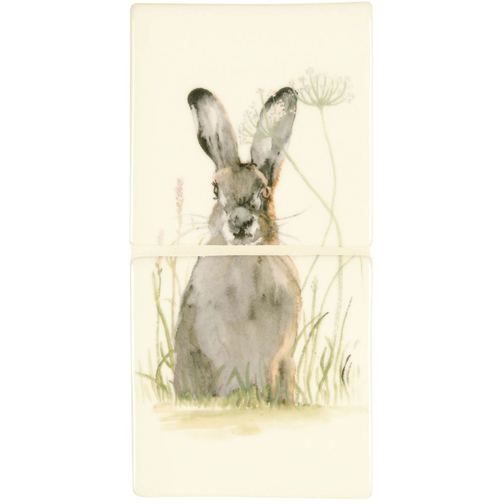 Hare in Hiding on Off White