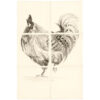 w.1724_preview