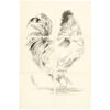 w.1725_preview