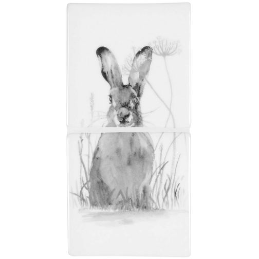 Hare in Hiding Grey on Pure White
