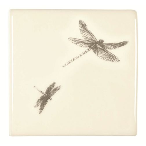 Odonata on Off White