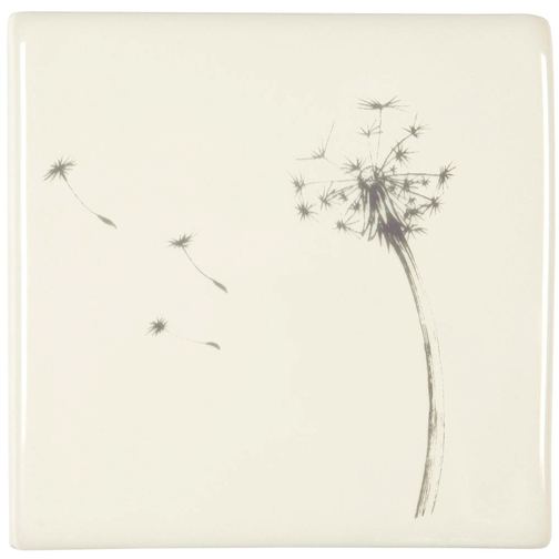 Blown Dandelion on Off White