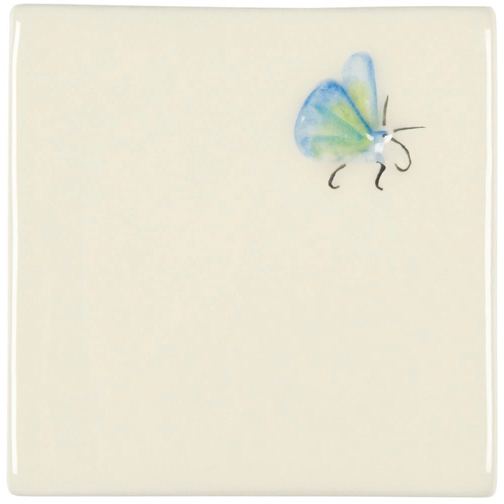 Butterfly on Off White