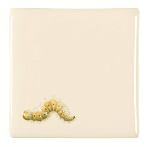 Caterpillar on Off White