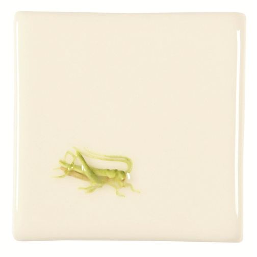 Grasshoper on Off White