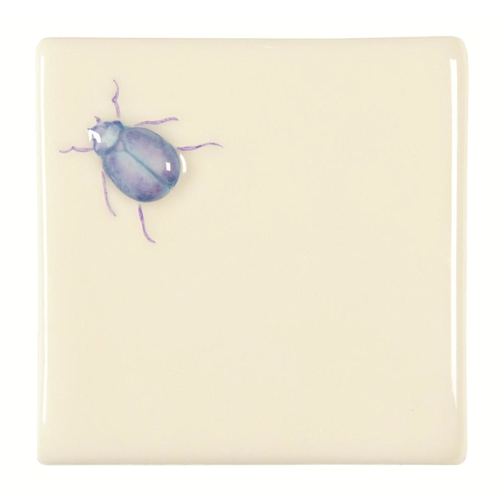 Stag Beetle on Off White
