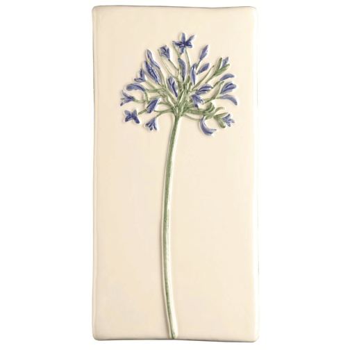 Agapanthus on Off White