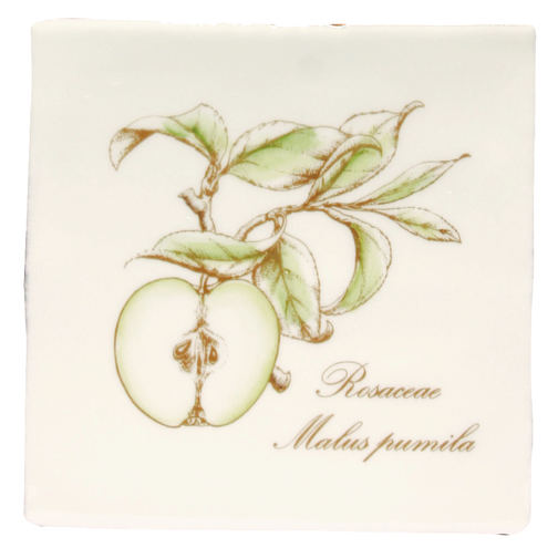 Apple On Palomino