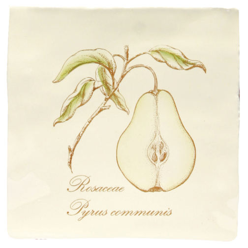 Pear On Papyrus