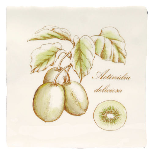 Kiwi On Papyrus