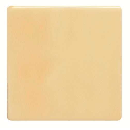 Field Tile Maize