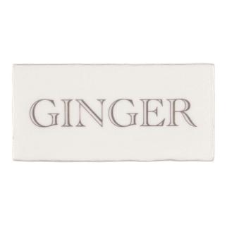 Ginger in Grey on Cotton Multi-Color